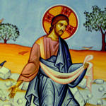 XV Domenica
