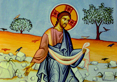 XV Domenica