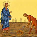 XVII Domenica