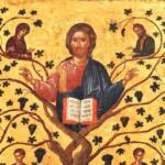 XXVII domenica